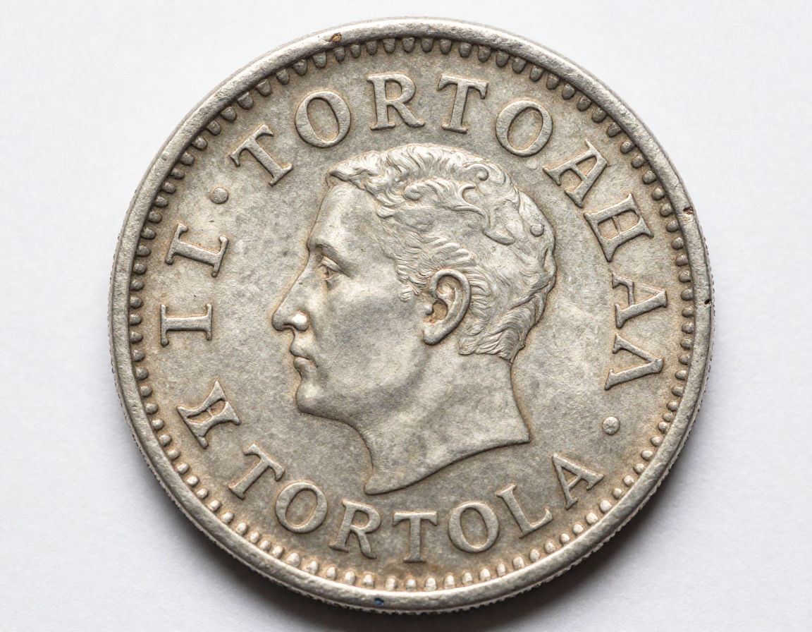 A close-up, high-resolution photo showing the irregular, hand-clipped edges of a silver 'cut' Spanish real, with a distinct 'tortola' countermark stamped in the center - Antique identification guide