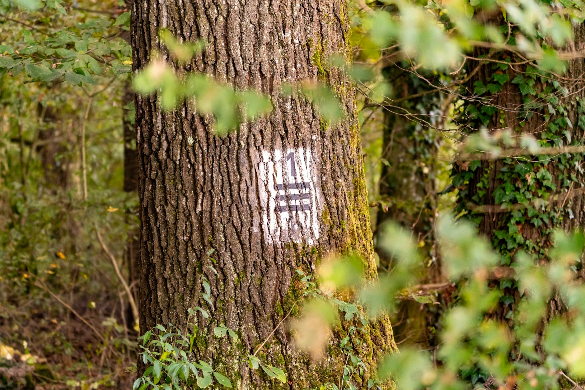 How to Identify Your Silver Flatware Pattern (Even Without Marks)