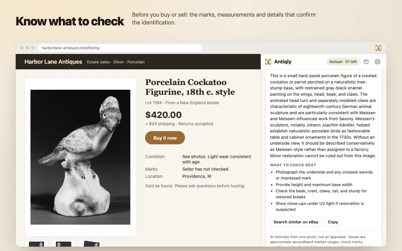 Antiqly for Chrome result for a porcelain cockatoo figurine with a What to check next list and Search similar on eBay button